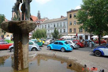 Zdjęcie 136