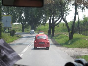 Zdjęcie 15