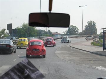 Zdjęcie 16
