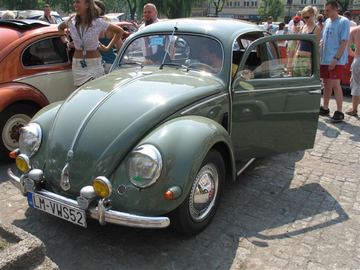 Zdjęcie 29