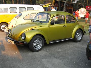 Zdjęcie 51