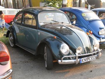 Zdjęcie 54