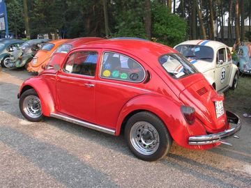 Zdjęcie 59