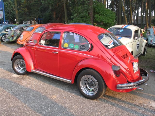 Garbojama – zdjęcie 59