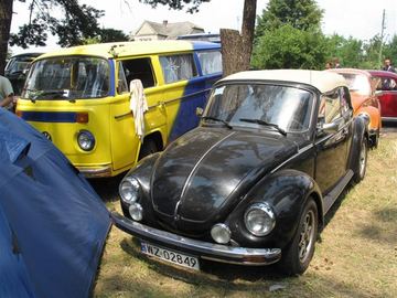 Zdjęcie 71