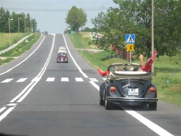 Zdjęcie 82
