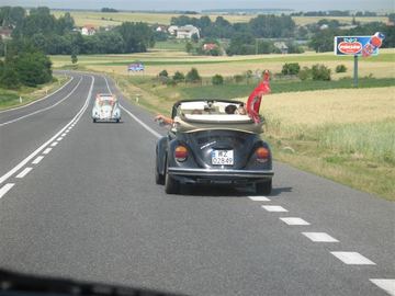Zdjęcie 84
