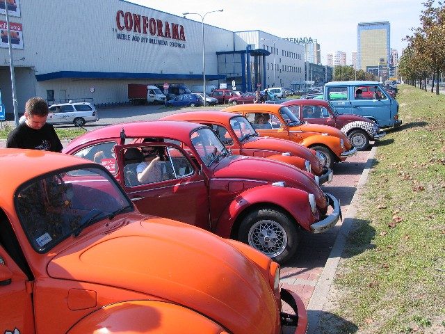 Garbusy w warsztacie malarskim – zdjęcie 1