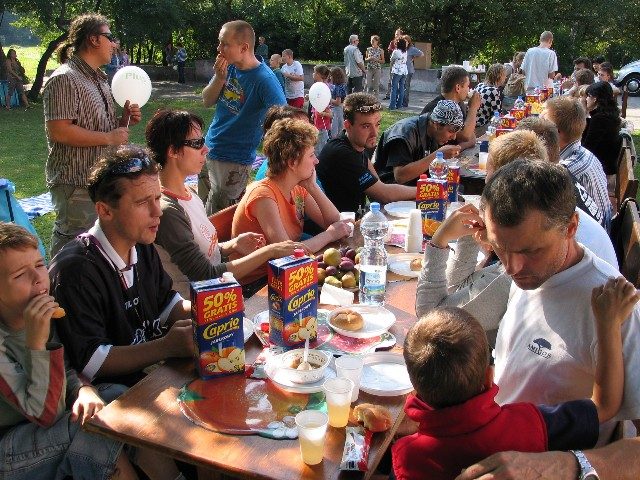 Garbusy w warsztacie malarskim – zdjęcie 11