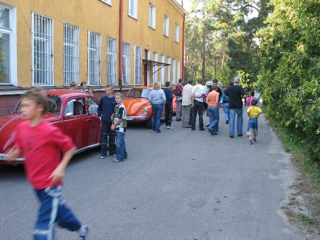 Garbusy w warsztacie malarskim – zdjęcie 2