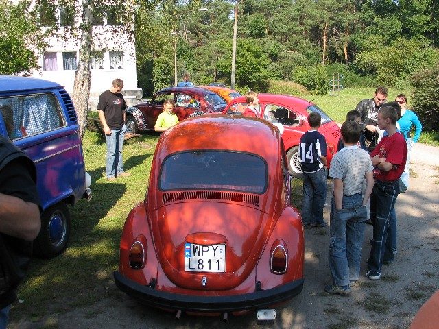 Garbusy w warsztacie malarskim – zdjęcie 3