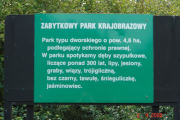 Zdjęcie 11