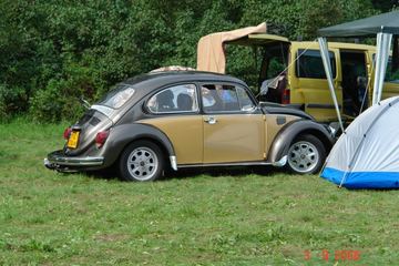 Zdjęcie 221