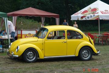 Zdjęcie 235