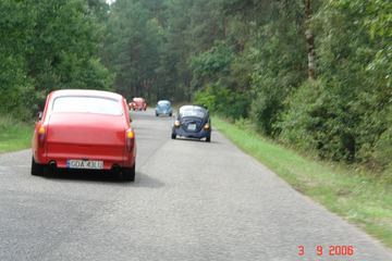 Zdjęcie 243