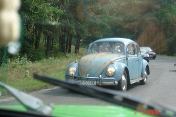 Zdjęcie 248