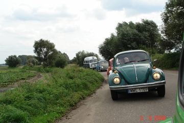 Zdjęcie 253