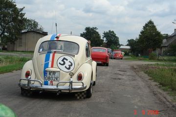 Zdjęcie 256