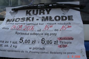 Zdjęcie 60