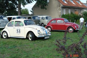 Zdjęcie 93
