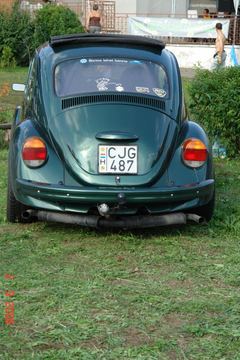 Zdjęcie 96