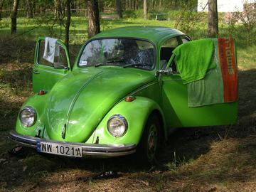 Zdjęcie 10