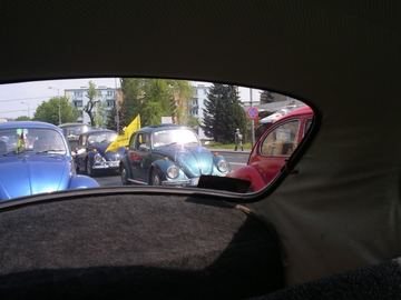 Zdjęcie 24