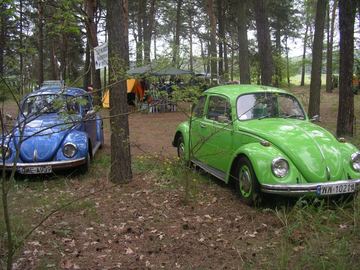Zdjęcie 87