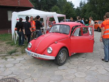 Zdjęcie 30