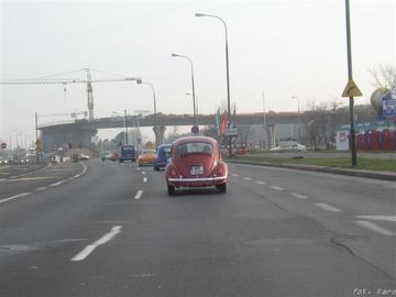 Zdjęcie 100