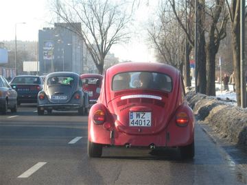 Zdjęcie 134