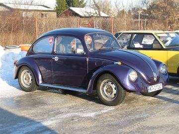 Zdjęcie 149