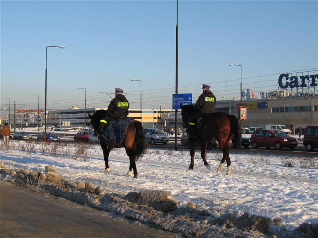 Parada WOŚP 2006 – zdjęcie 174