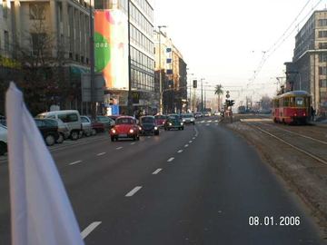 Zdjęcie 228