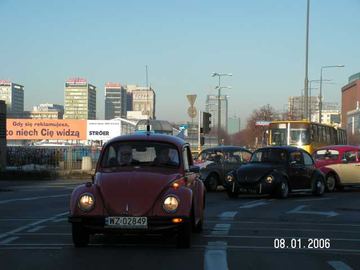 Zdjęcie 229