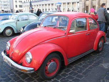 Zdjęcie 23