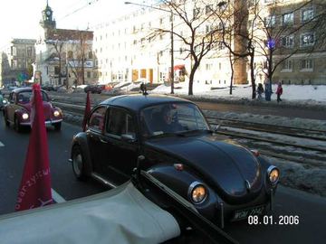 Zdjęcie 256