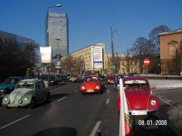 Zdjęcie 263
