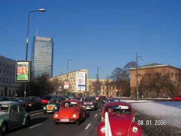 Zdjęcie 264