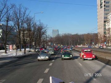 Zdjęcie 275