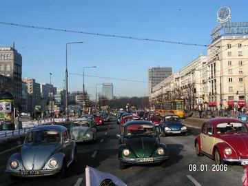 Zdjęcie 282