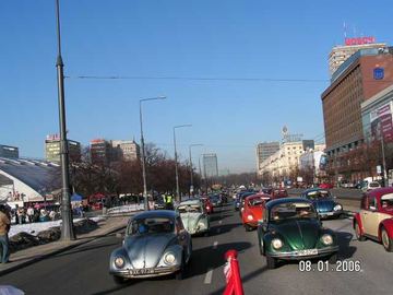 Zdjęcie 287
