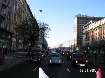 Zdjęcie 295