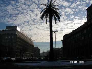 Zdjęcie 301
