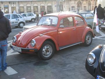 Zdjęcie 78