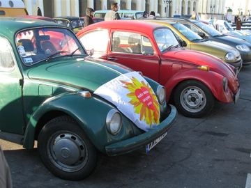 Zdjęcie 79