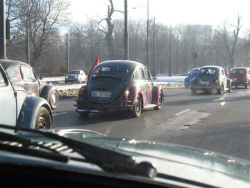 Zdjęcie 82
