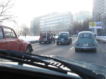 Zdjęcie 85