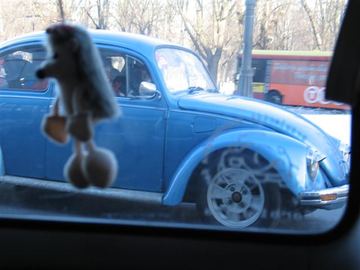 Zdjęcie 88