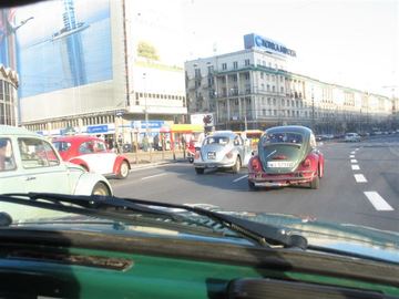 Zdjęcie 96